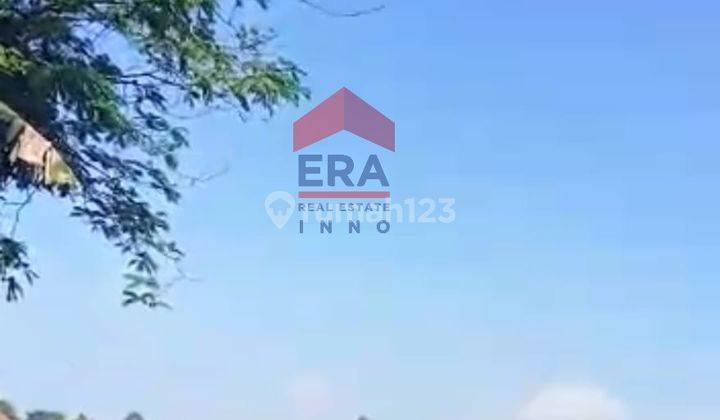Tanah Strategis Mainroad Pantura Subang 7