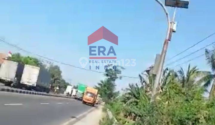 Tanah Strategis Mainroad Pantura Subang 8