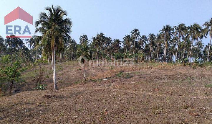 Tanah Lahan Sukamanah Bojongkaso Agrabinta Cianjur 1