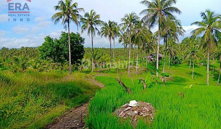 Tanah Lahan Sukamanah Bojongkaso Agrabinta Cianjur 2