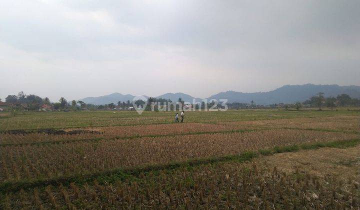 Dijual Lahan Bisa Untuk Industri Mainroad Cipeuyeum Ciranjang Cianjur 1