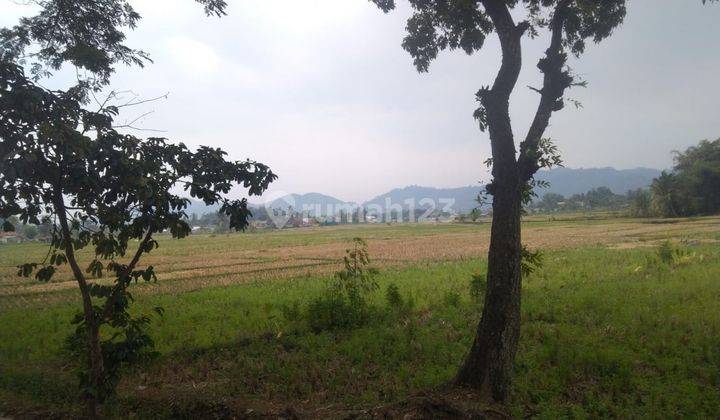 Dijual Lahan Bisa Untuk Industri Mainroad Cipeuyeum Ciranjang Cianjur 2