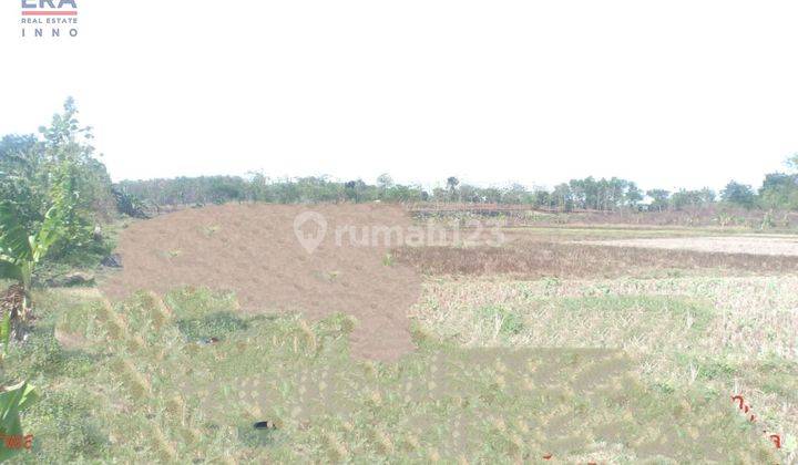 Tanah Datar Desa Sumurbarang Sidajaya Subang 3