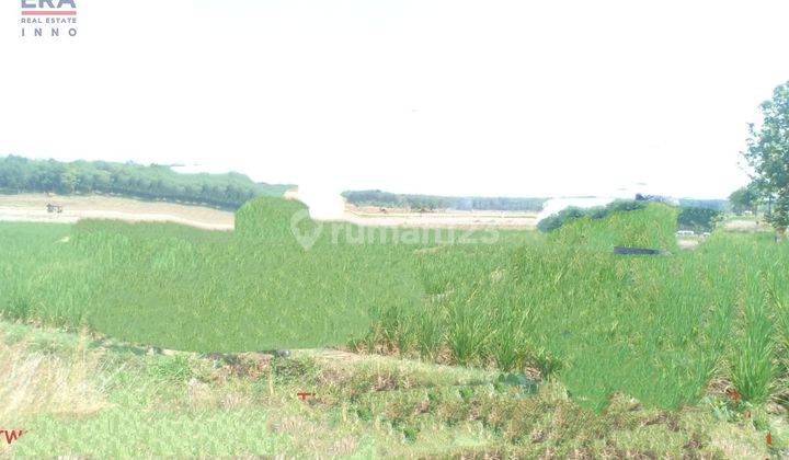 Tanah Datar Desa Sumurbarang Sidajaya Subang 4