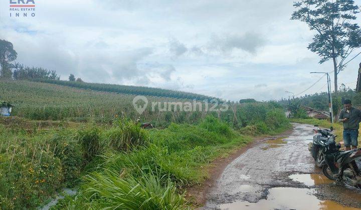 Tanah Cibeber Ciwidey Bandung 1