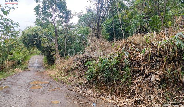 Tanah Desa Wangunsari Sindangkerta Pasir Buleud Bandung Barat 6