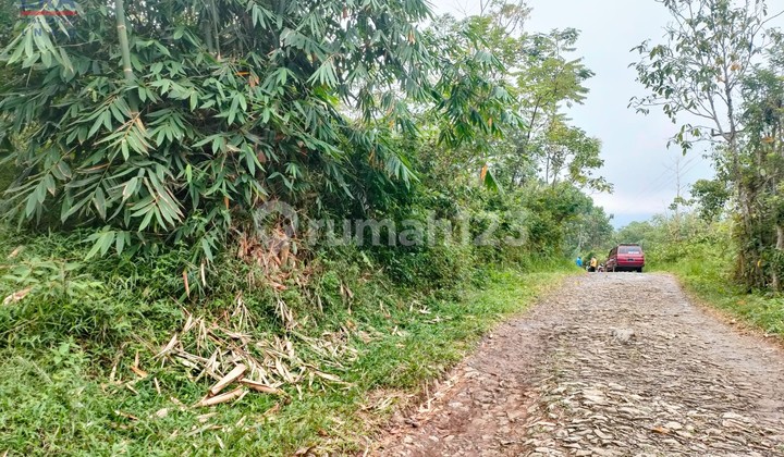 Tanah Desa Wangunsari Sindangkerta Pasir Buleud Bandung Barat 9