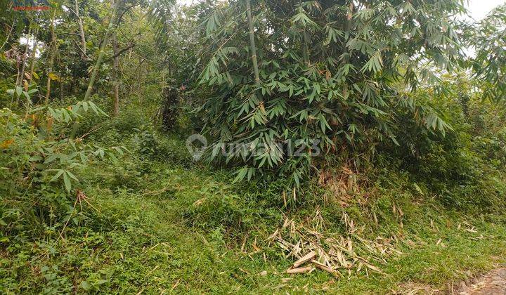 Tanah Desa Wangunsari Sindangkerta Pasir Buleud Bandung Barat 10