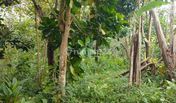 Tanah Desa Wangunsari Sindangkerta Pasir Buleud Bandung Barat 11