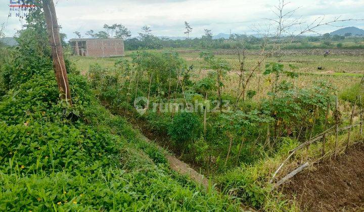 Tanah Situwangi Cipatik Soreang Bandung 1