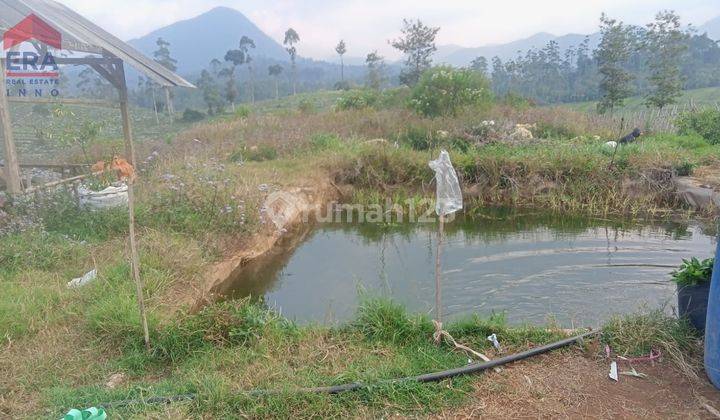 Tanah Posisi Dekat Jalan Raya Ada Mata Airnya Cibeber Ciwidey 1