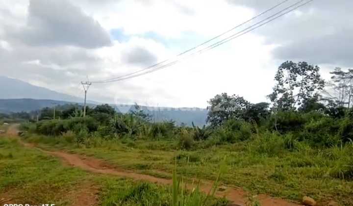 Tanah Serangpanjang Subang Dekat Pintu Tol Cipali