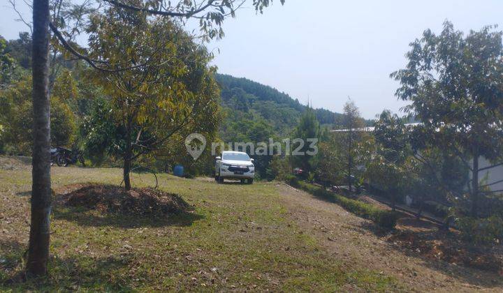 Kebun Karet Produktif Milik Perorangan Cianjur 1