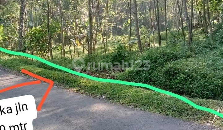 Tanah Pinggir Jalan Desa Kasomalang Subang