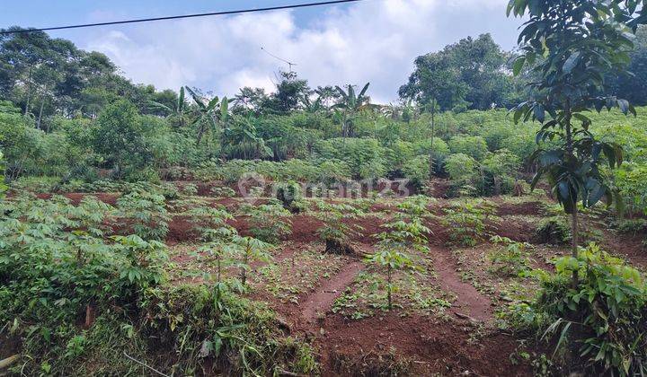 Lahan Kebun Cocok Untuk Pertanian Mainroad Jl. Kabupaten Subang 1