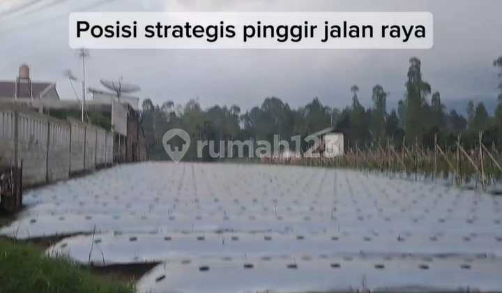 LAND FOR SALE – PRIME LOCATION BY THE HIGHWAY! Garut Cikajang