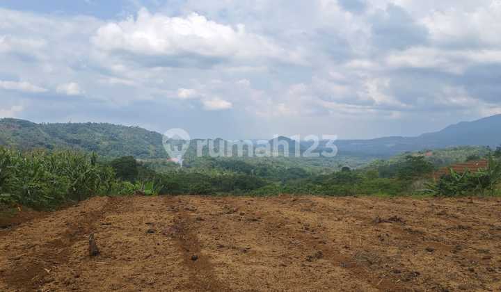 Tanah Satu Hamparan Tanjung Medar Perbatasan Sumedang Arah Subang