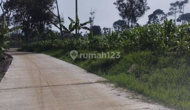 Di Jual Lahan Arjasari Banjaran Utk Peternakan Sapi. , Argo Bisnis 1