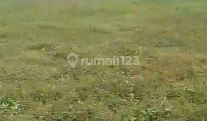 Large Land Tegal Buleud Sukabumi Large Land Tegal Buleud Sukabumi