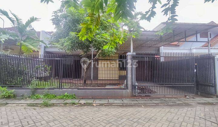 Rumah Dekat Raya Dharmahusada Hanya 8 Jutaan Per Meter  1