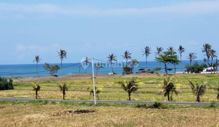 Land Beach Front Located At Pangkung Tibah Tabanan 3