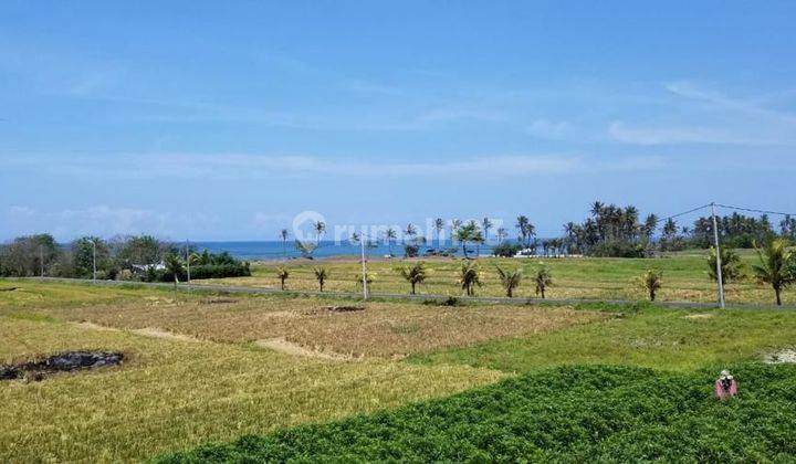 Land Beach Front Located At Pangkung Tibah Tabanan 4