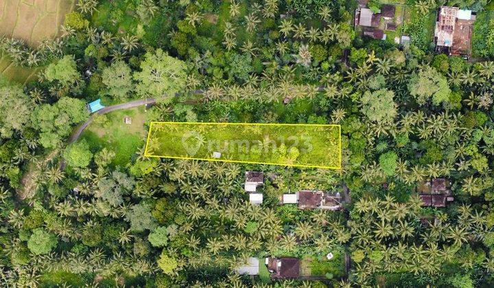  Murahh! Sebidang Tanah Di Jl Raya Kelusa Payangan Ubud Fbp46 