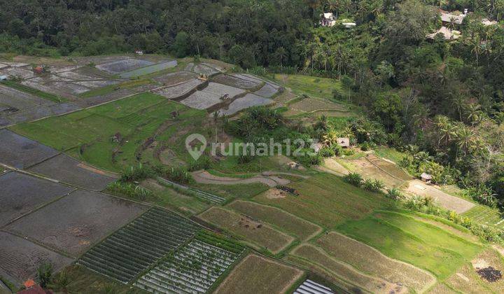 First come first served 3 premium plots located in Semana Ubud 2