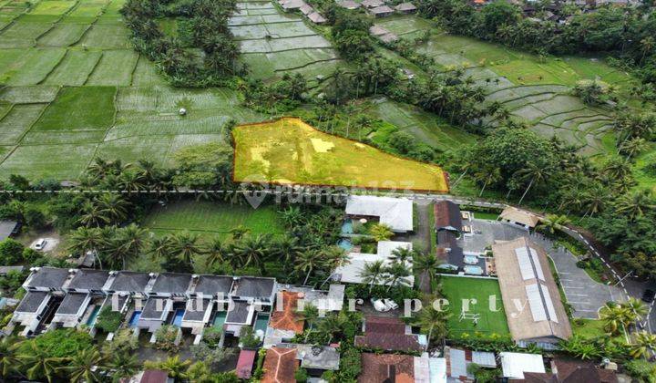 Kavling Kecil View Sawah Lokasi Strategis Di Ubud  2