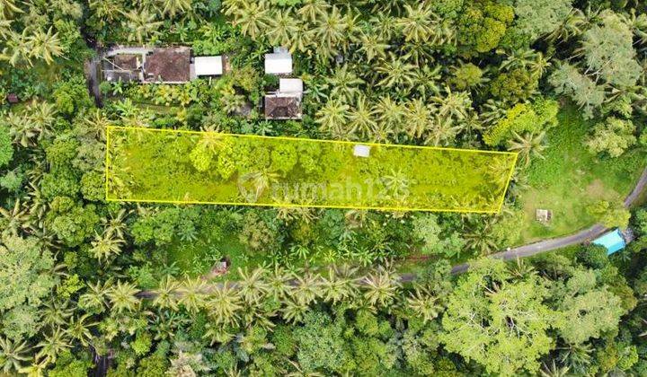 Murahh Jarang Ada Sebidang Tanah Di Kelusa Payangan Dekat Ke Ubud 1