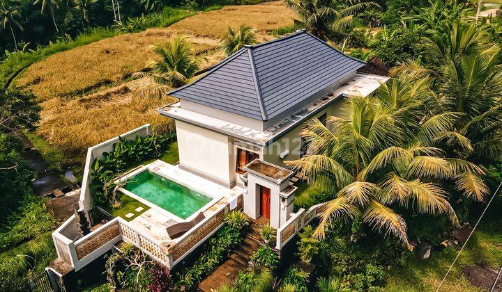 Spacious Modern Villa In Tampak Siring Close To Ubud  1