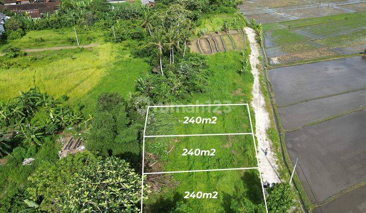 Dijual 3 Plot Kavling Super Langka Dan Siap Bangun 1