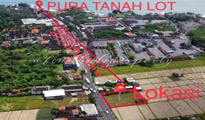 Tanah Hak Milik Area Komersil Di Jalan Raya Tanahlot Tabanan 2