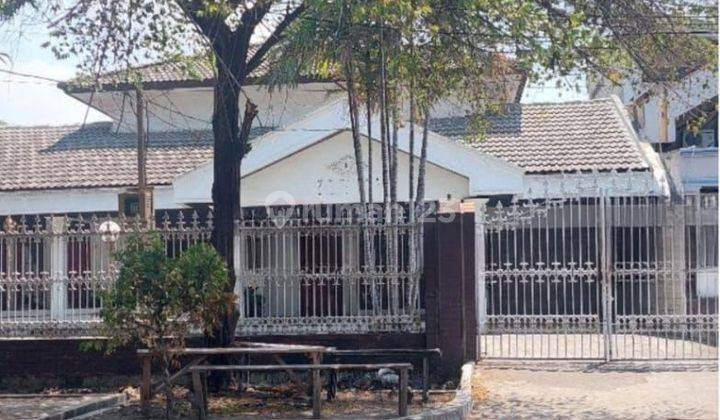 Rumah Usaha Kontrakan Tengah Kota 642 m SHM Bagus  1