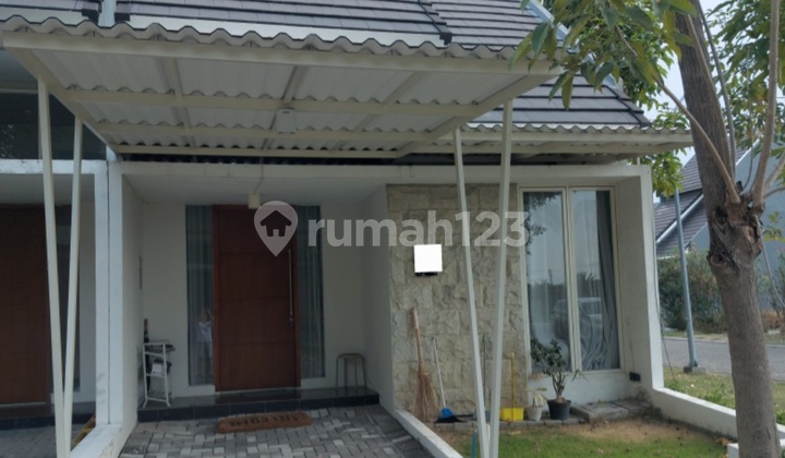 Rumah Di North West Park Citraland Disewakan Agustin