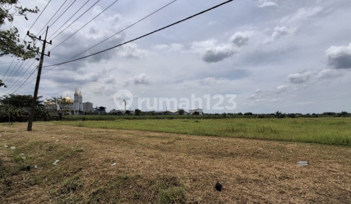 Land for Sale in Mojotengah Gresik Near Kedamean