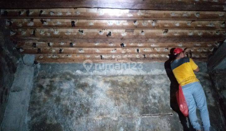 Rumah Sarang Burung Dijual Di Bangil Pasuruan 1