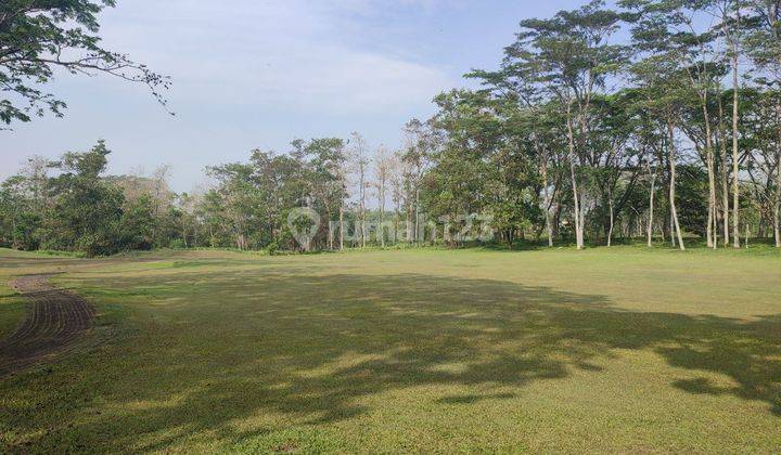 Tanah Kavling di Graha Golf Araya Malang View Lapangan Golf  2