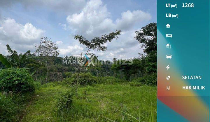 Dijual Murah Tanah Lokasi di Jedong Wagir Kabupaten Malang 1