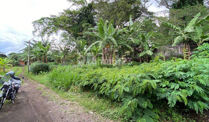 Murah Tanah Siap Bangun di Toyomarto Malang Dekat Kebun Teh 2