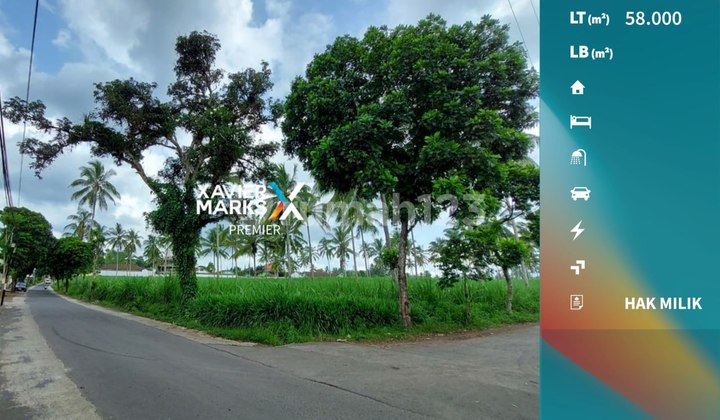 Strategic Land Location by the Main Roadside in Dampit, Malang. Strategic Land Location by the Main Roadside in Dampit, Malang.