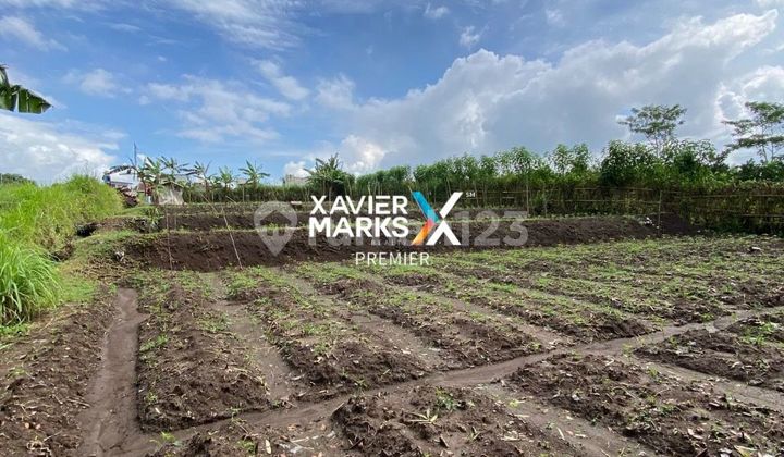 For Sale Cheap Land in Landungsari, Suitable for Plantation, Malang