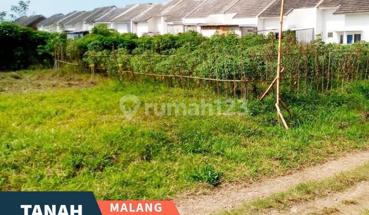 Need Quick Sale: 2 Plots of Land in Kebonagung, Malang Need Quick Sale: 2 Plots of Land in Kebonagung, Malang