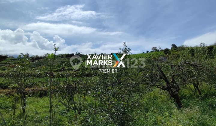 Tanah Dan Kebun Apel Di Bulukerto Bumiaji Kota Batu