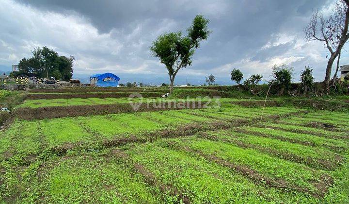 Termurah Tanah Strategis di Sumberejo Dekat Balai Kota Batu  2