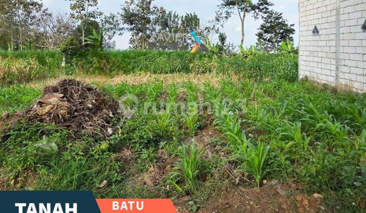 Super Murah Dijual Tanah Kavling di Jl Jeruk, Oro-Oro Ombo Batu Super Murah Dijual Tanah Kavling di Jl Jeruk, Oro-Oro Ombo Batu