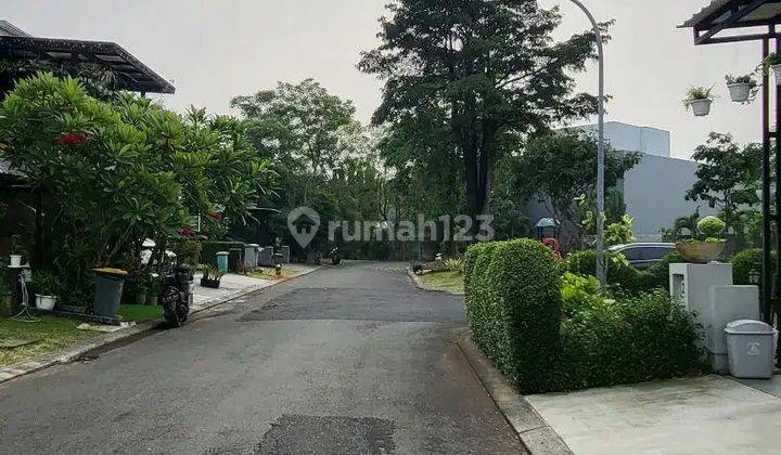 Rumah siap huni Di Sutera Palmyra Alam Sutera 2