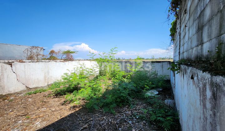 Rumah Murah Luas Tanah Besar Dekat Bandara Juanda 2