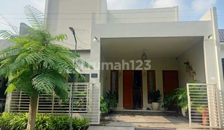 Rumah SHM 1Lantai Bebas Banjir Surya Regency Rumah SHM 1Lantai Bebas Banjir Surya Regency