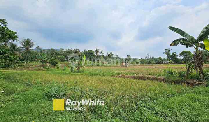 Kavling tanah di Klapanunggal, Kabupaten Bogor, di tepi jalan